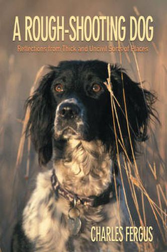 Cover image for Rough-Shooting Dog: Reflections From Thick And Uncivil Sorts Of Places