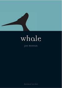 Cover image for Whale