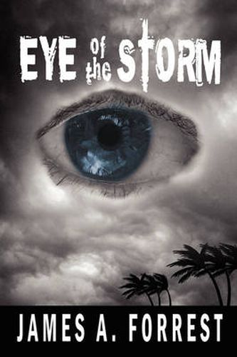 Cover image for Eye of the Storm