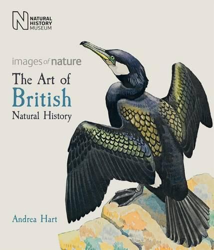 Cover image for The Art of British Natural History: Images of Nature