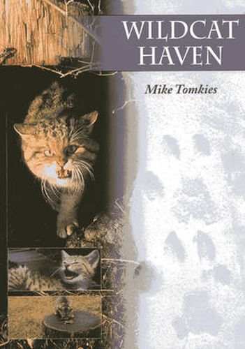 Cover image for Wildcat Haven