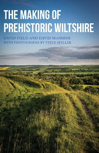 Cover image for The Making of Prehistoric Wiltshire