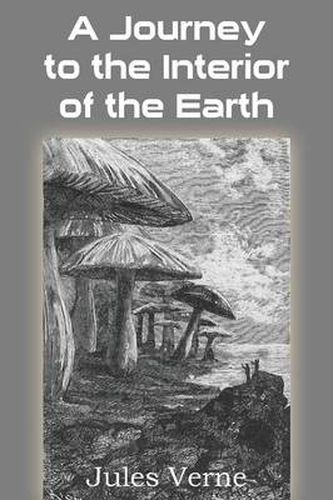 Cover image for A Journey to the Interior of the Earth