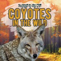 Cover image for Coyotes in the Wild
