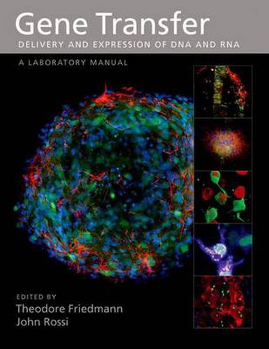 Cover image for Gene Transfer: Delivery and Expression of DNA and RNA