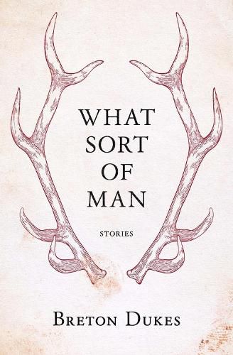 Cover image for What Sort of Man