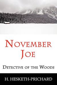 Cover image for November Joe: Detective of the Woods (Mystery Classic)
