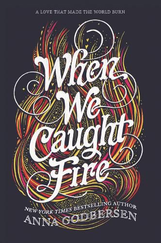 Cover image for When We Caught Fire