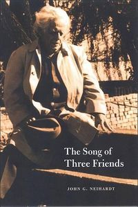 Cover image for The Song of Three Friends