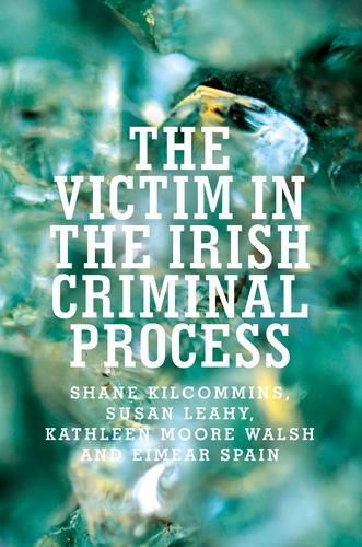Cover image for The Victim in the Irish Criminal Process