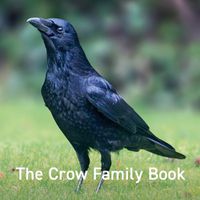 Cover image for The Crow Family Book