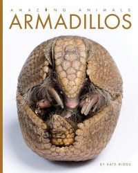 Cover image for Armadillos