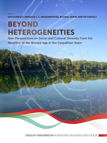 Cover image for Beyond heterogeneities