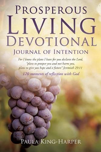 Cover image for Prosperous Living Devotional