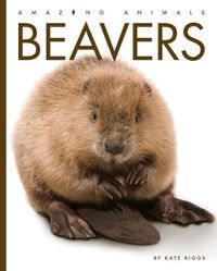 Cover image for Beavers