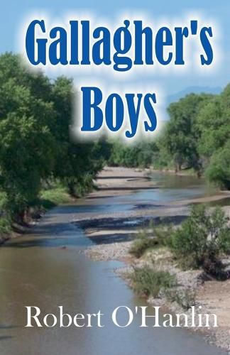 Cover image for Gallagher's Boys