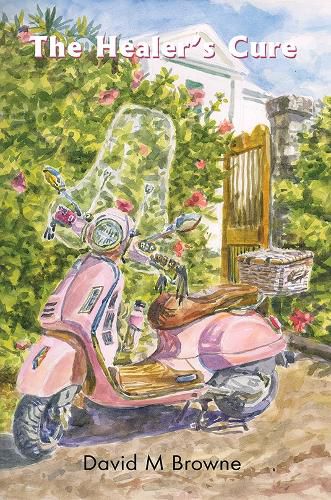 Cover image for The Healer's Cure