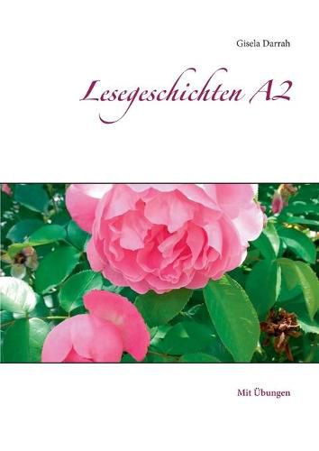 Cover image for Lesegeschichten A2: Mit UEbungen