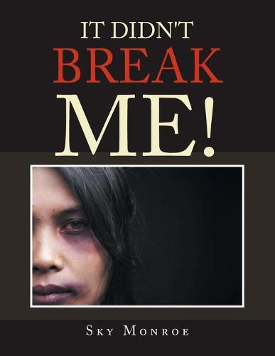 Cover image for It Didn't Break Me!