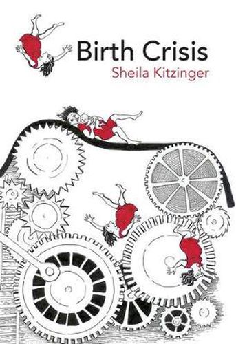 Cover image for Birth Crisis