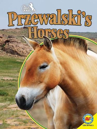 Przewalski's Horses