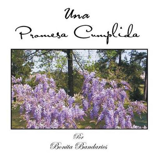 Cover image for Una Promesa Cumplida