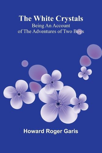 Cover image for The Young Carpenters of Freiberg A Tale of the Thirty Years' War (Edition1)