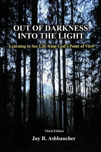 Cover image for Out of Darkness Into the Light: Learning to See Life from God's Point of View