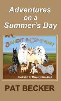 Cover image for Adventures on a Summer's Day: (first of the Bandit and Company series)