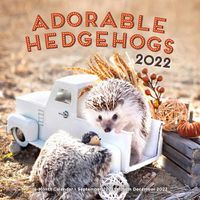 Cover image for Adorable Hedgehogs 2022