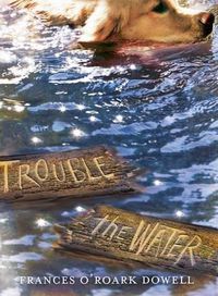 Cover image for Trouble the Water