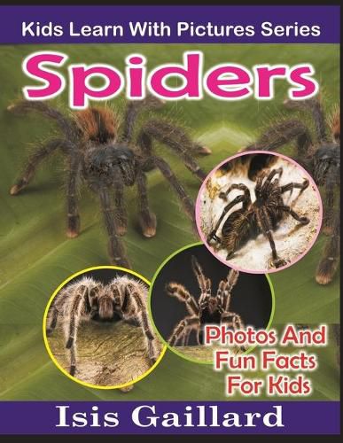 Cover image for Spiders: Photos and Fun Facts for Kids