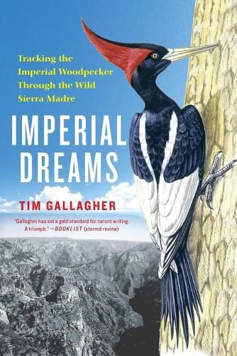 Cover image for Imperial Dreams: Tracking the Imperial Woodpecker Through the Wild