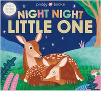 Cover image for Night Night Little One (Night Night Books)