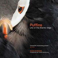 Cover image for Puffins: Life on the Atlantic Edge