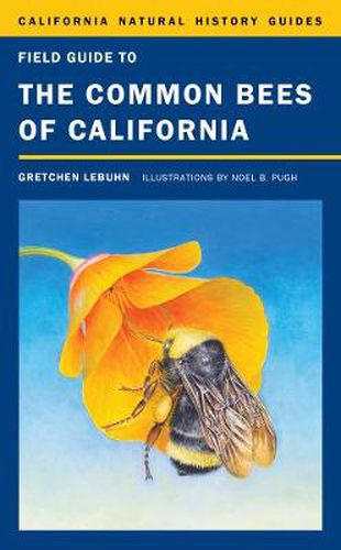 Cover image for Field Guide to the Common Bees of California: Including Bees of the Western United States