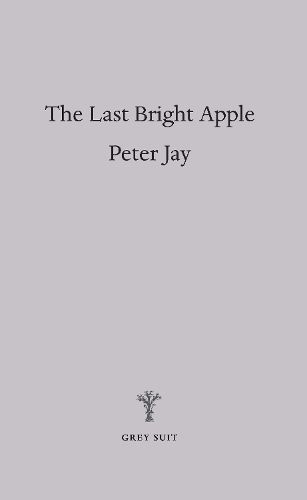Cover image for The Last Bright Apple