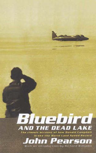 Bluebird & the Dead Lake