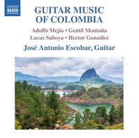 Cover image for Guitar Music Of Colombia
