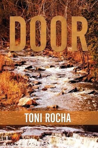 Cover image for Door