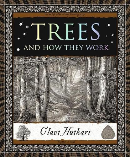 Cover image for Trees: And How They Work