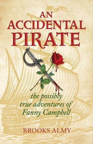 Cover image for An Accidental Pirate