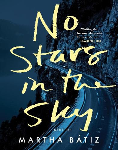 Cover image for No Stars in the Sky