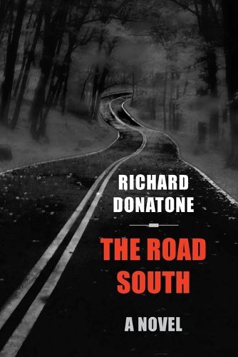 Cover image for The Road South