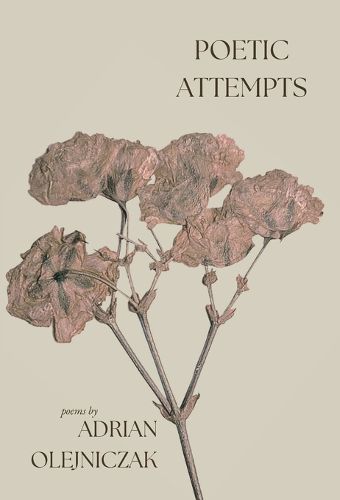 Cover image for poetic attempts