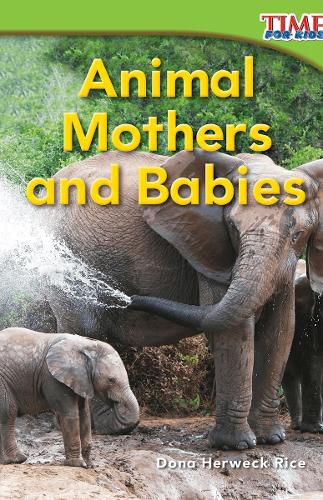 Cover image for Animal Mothers and Babies