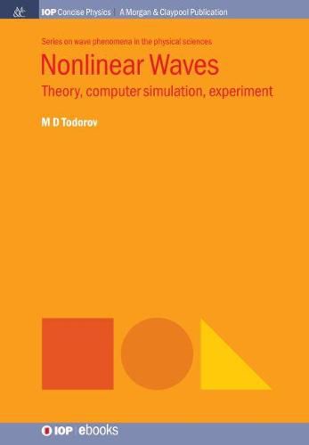 Cover image for Nonlinear Waves: Theory, Computer Simulation, Experiment