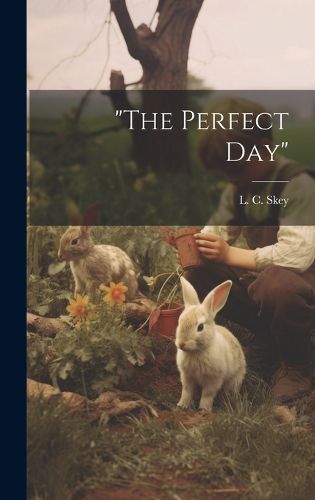 Cover image for "The Perfect Day"