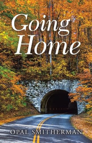 Cover image for Going Home