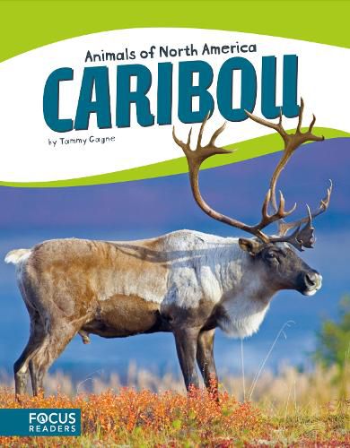 Cover image for Animals of North America: Caribou